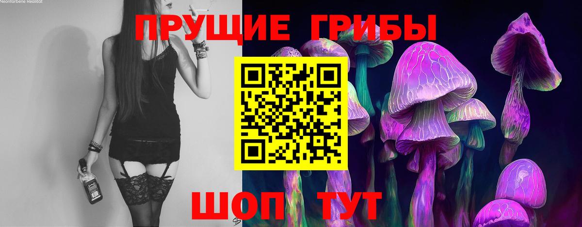 Галлюциногенные грибы MAGIC MUSHROOMS  Псилоцибиновые грибы мицелий  Шелехов  Вход с VPN 